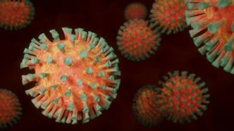 coronavirus